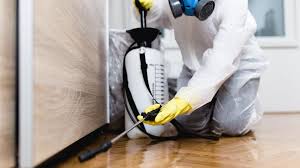 Best Residential Pest Control  in Allen Park, MI